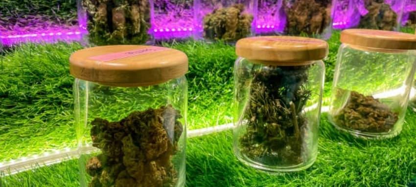 Ucuz elektronik sigara rehberi 2025 en iyi markalar fiyat karşılaştırması ve tasarruf ipuçları