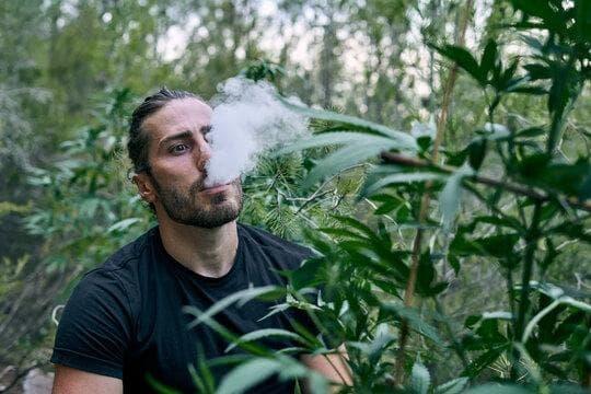 en ucuz elektronik sigara rehberi fiyat karşılaştırması ve güvenli alışveriş ipuçları